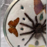 Cute frame and vintage butterflies