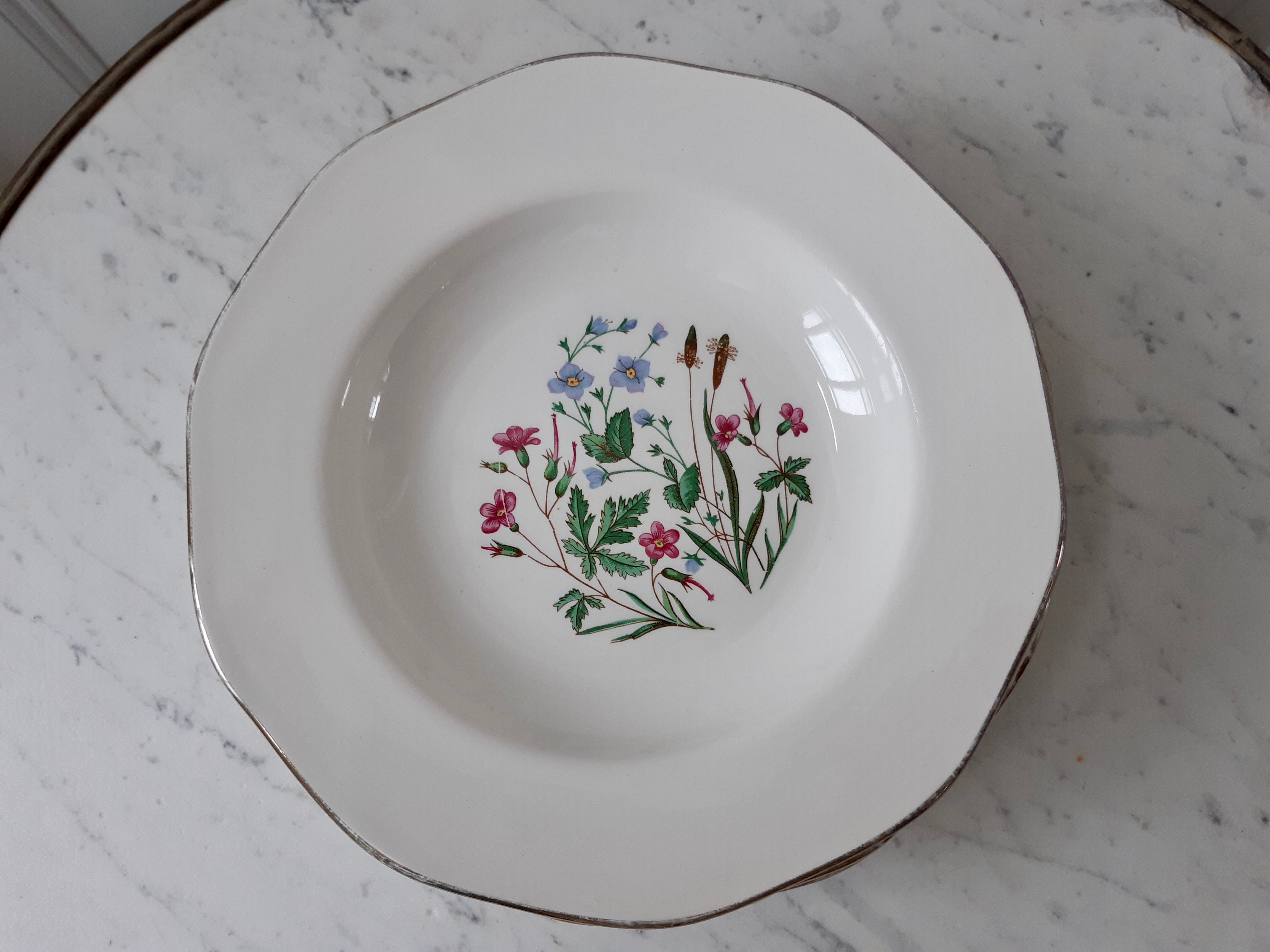 Lot of 6 hollow plates Digoin Sarreguemines model Naïade