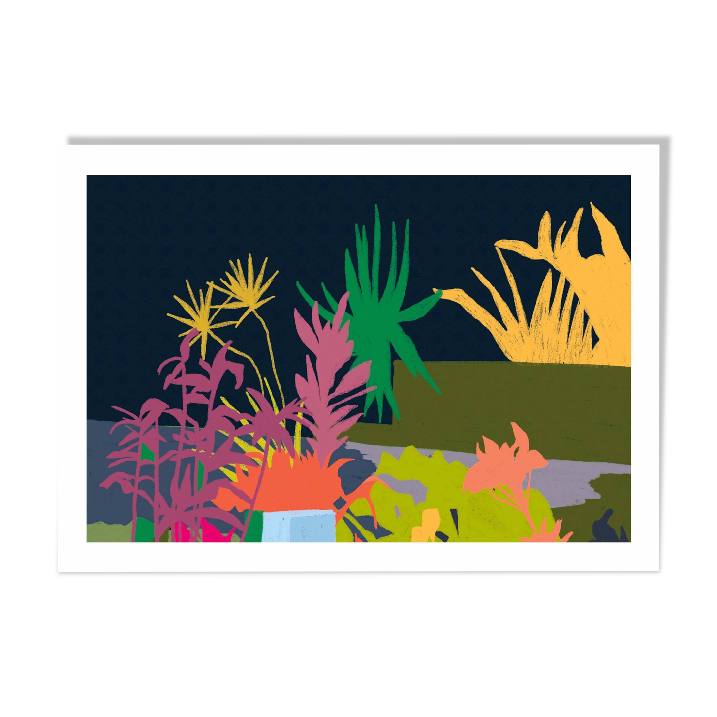 JUNGLE - Illustration A4