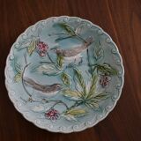 Colorful plate birds