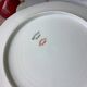 Plates Haviland Limoges 1900 - floral decoration liberty