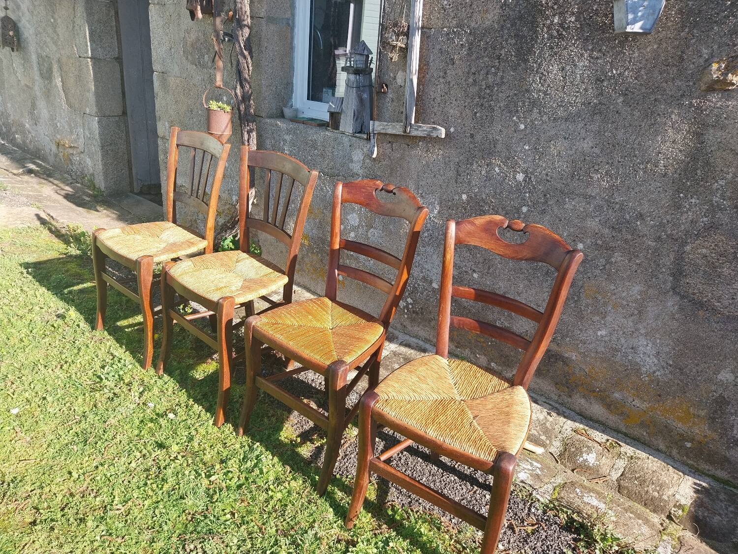 Pair of antique rush-seated chairs