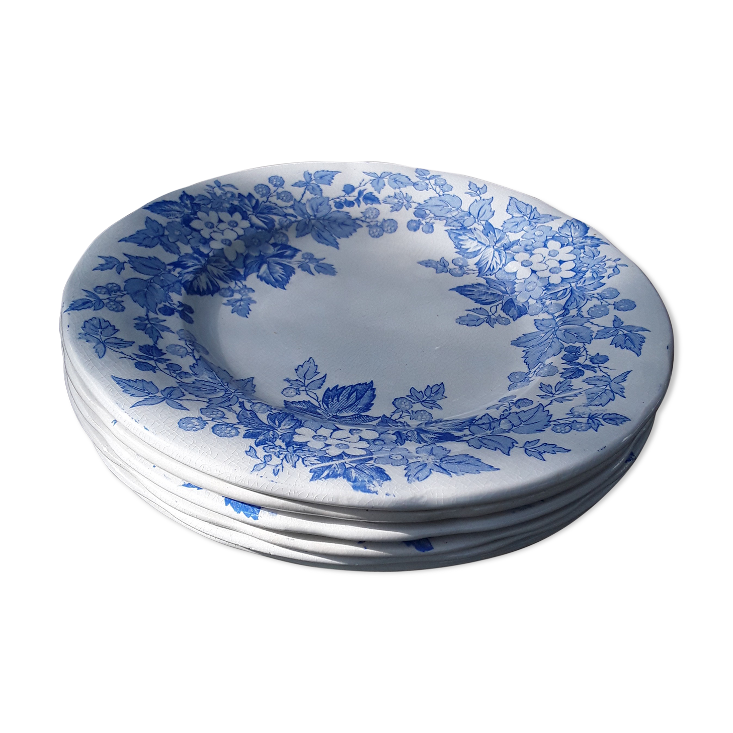 6 plates Sarreguemines Iron Land