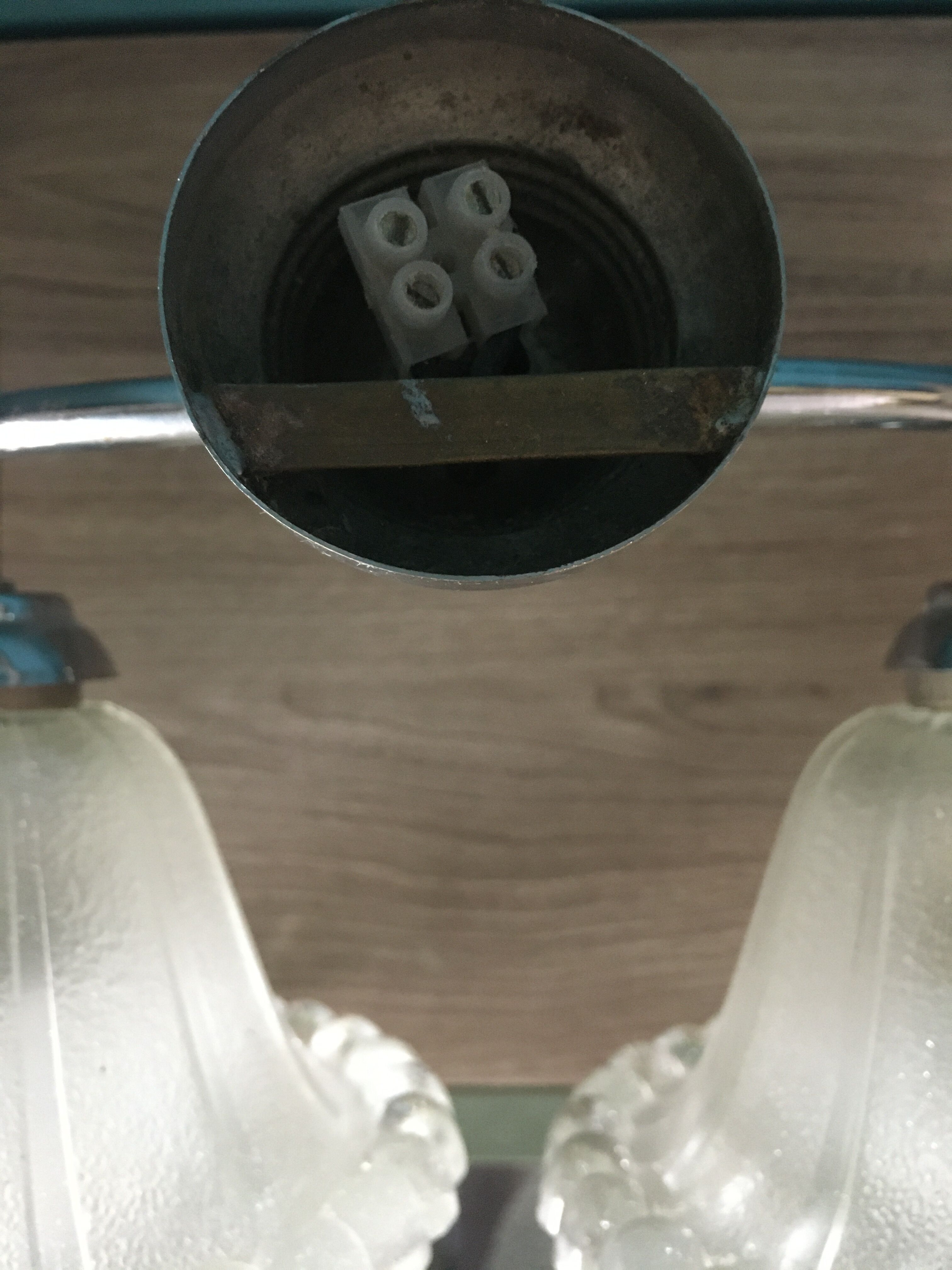 Double flower wall light