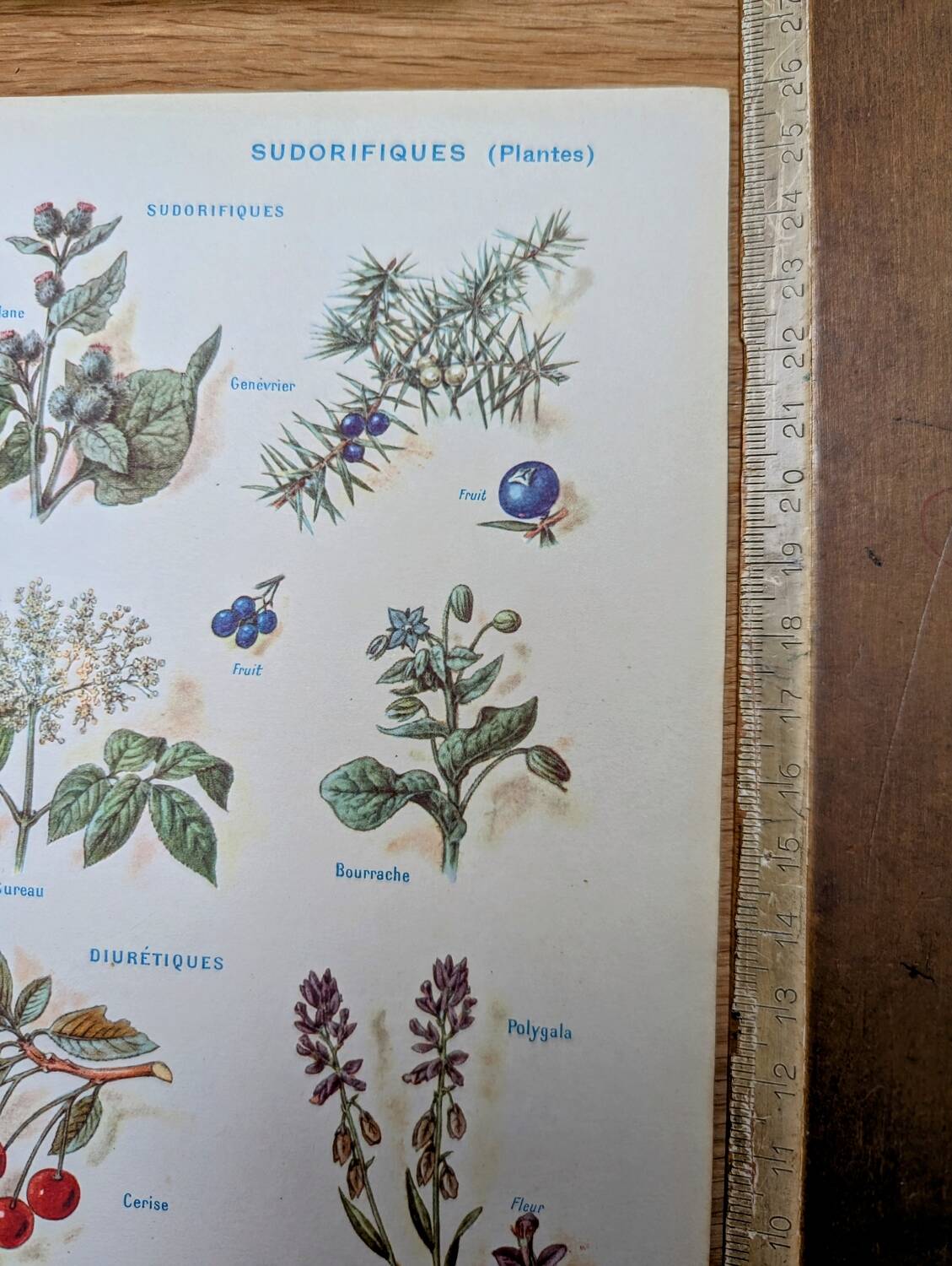 Medical plant board, printed in 1954