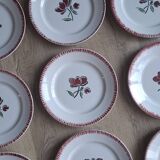 Set of 9 Badonviller flower dinner plates
