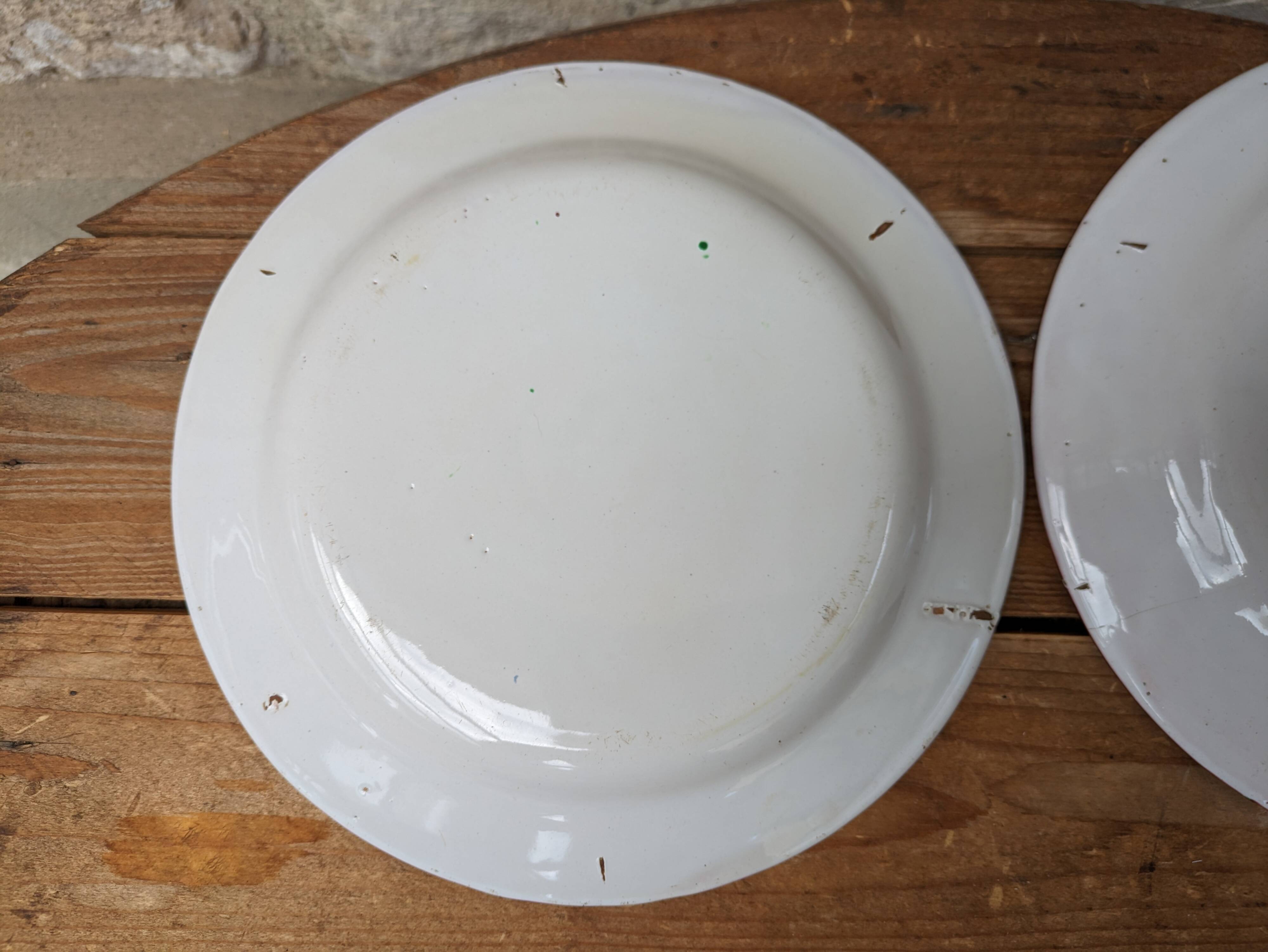 Set of 2 old plates with flower bouquet decoration