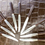 Set of 9 vintage a.fontenille 1034 table knives