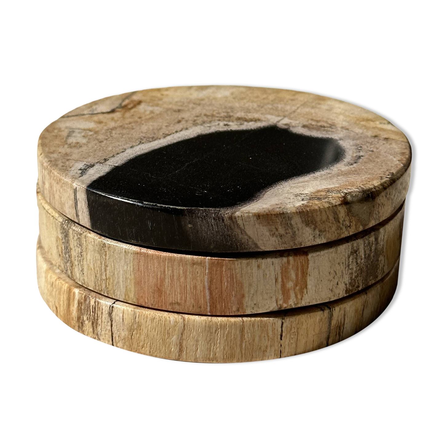 Set of 3 fossilized wood coasters (clear)