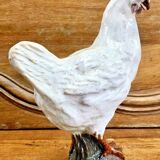 Terracotta hen Bavent XIX sulphide eyes