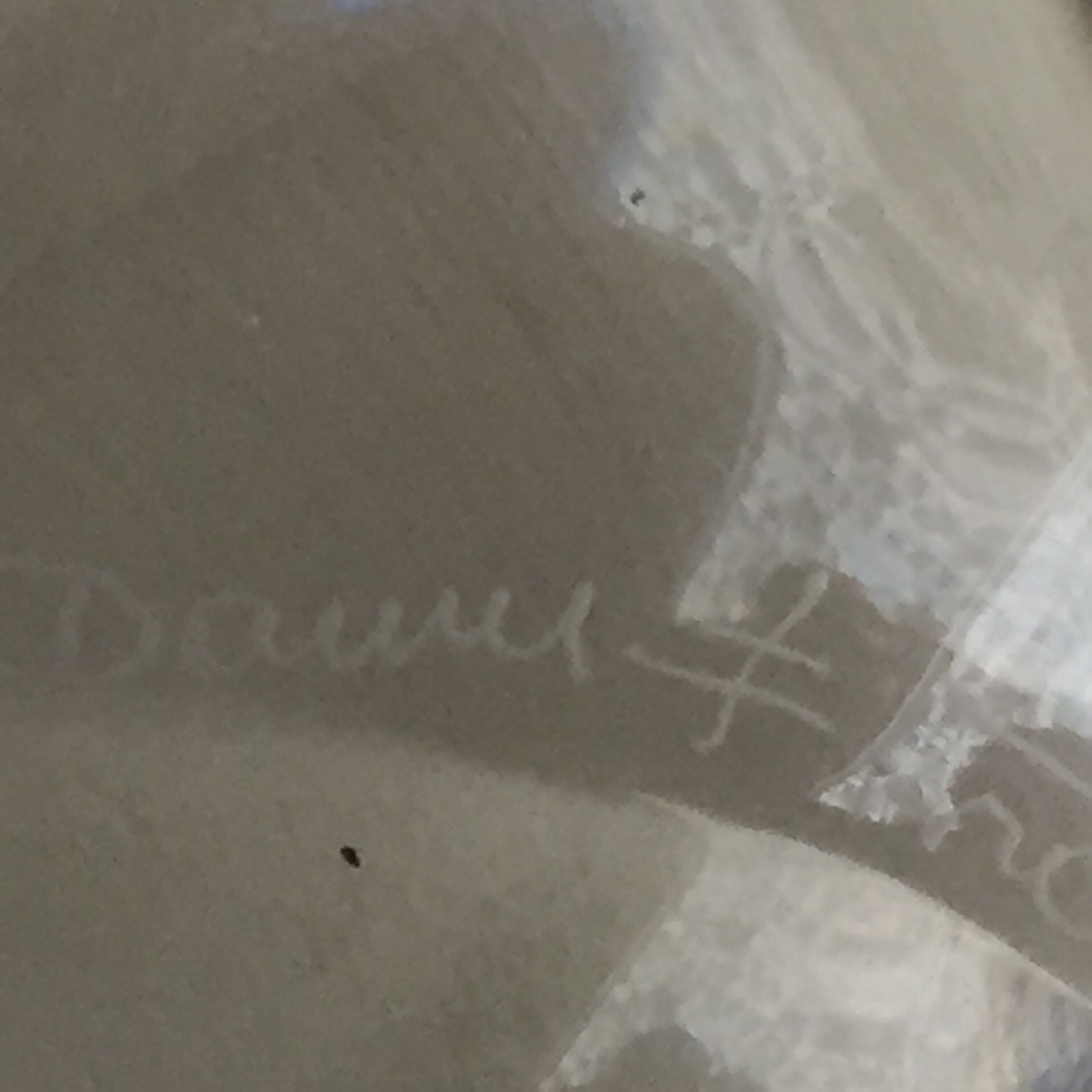 Empty Daum crystal pocket