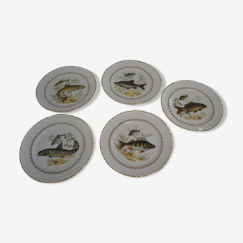 Set of 5 different fish plates from Moulin des Loups