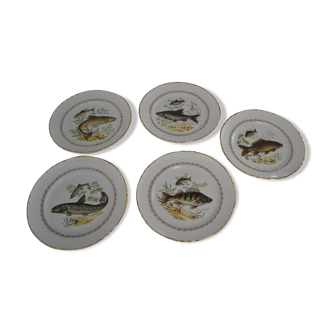 Set of 5 different fish plates from Moulin des Loups