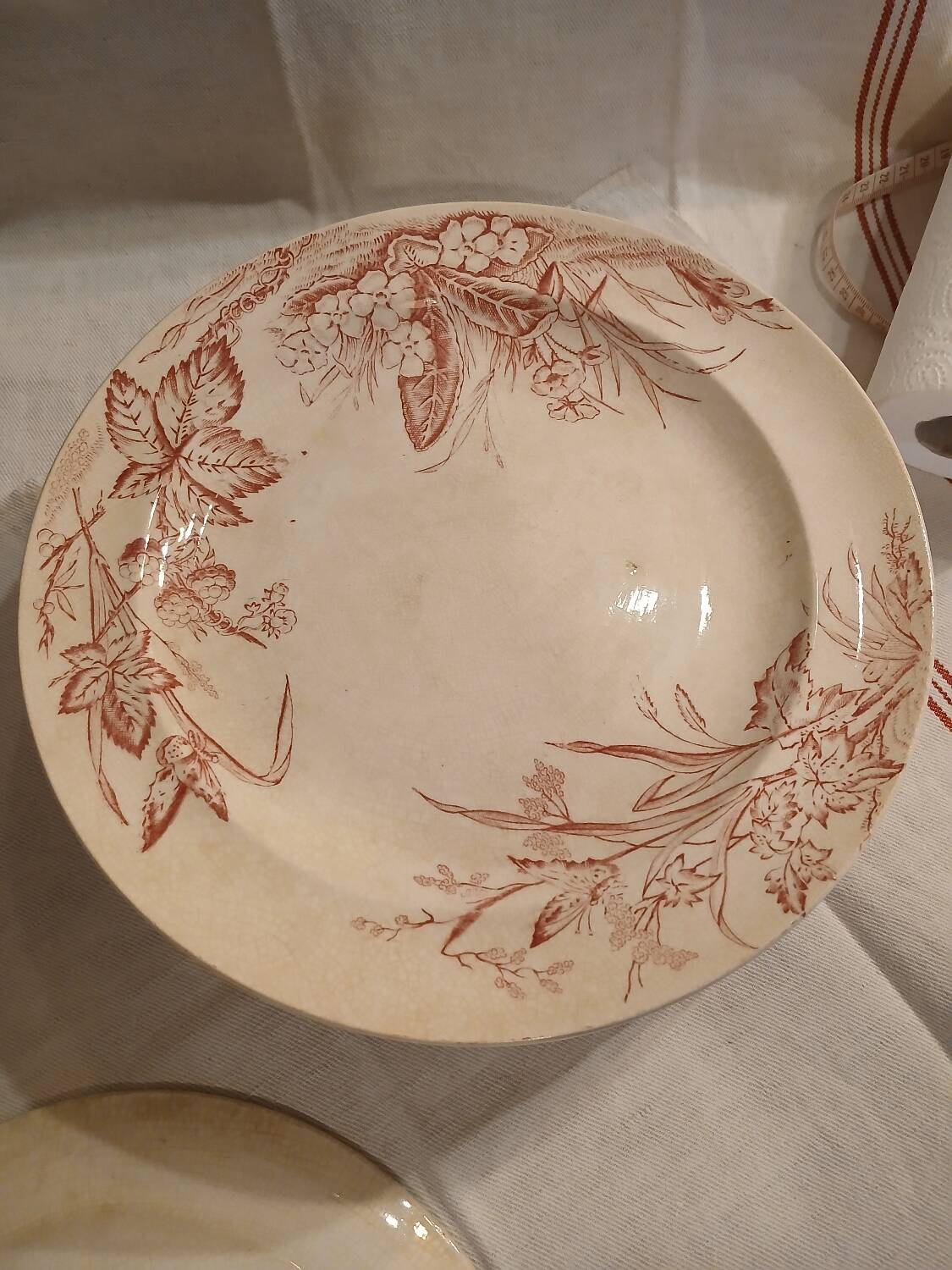 10 antique ironstone dinner plates