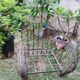 Wrought iron armchair