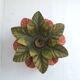 Metal flower wall light