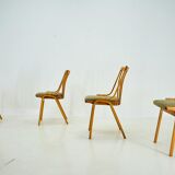 Set of 4 Dining Chairs Designed by Antonín Šuman, 1960s