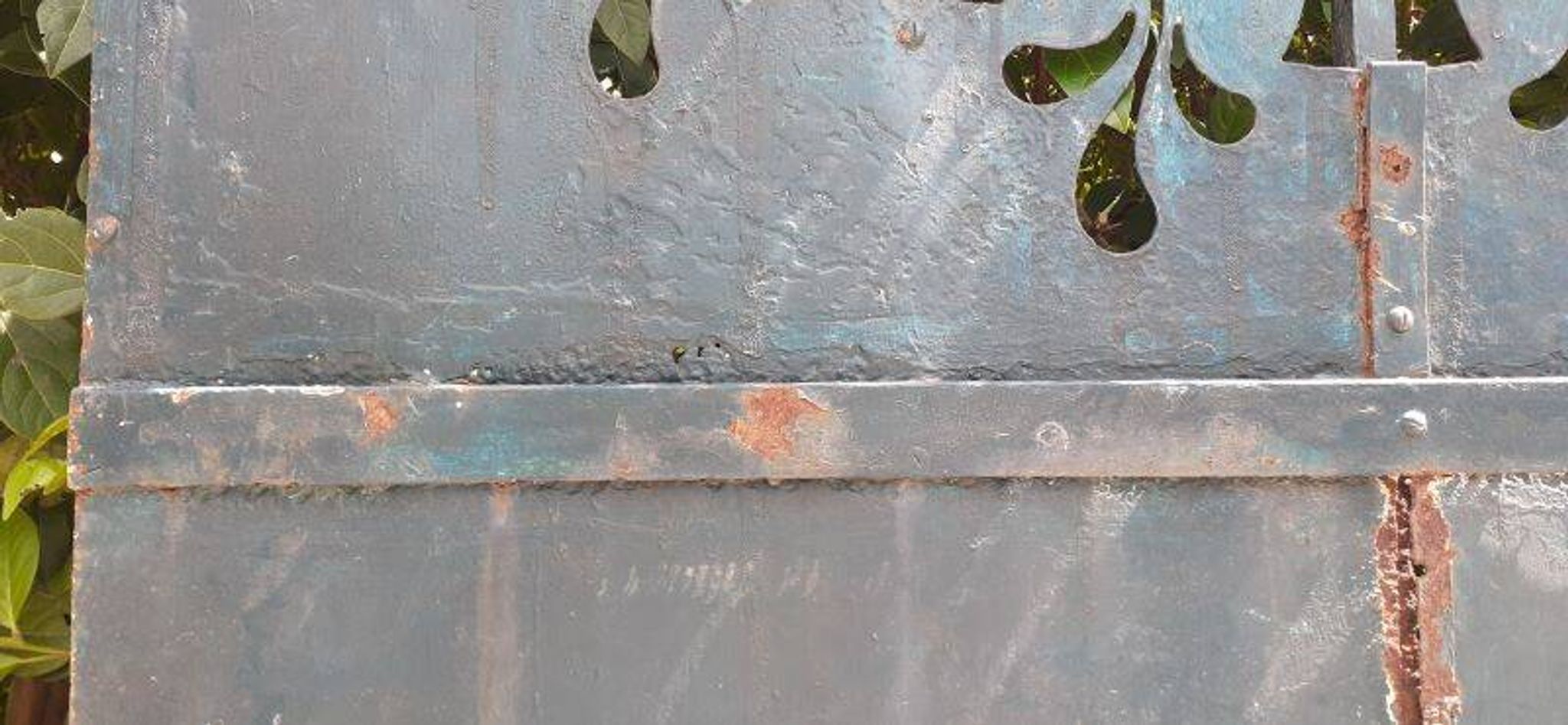 Solid gate, garden iron, H227x110cm, old, exterior door
