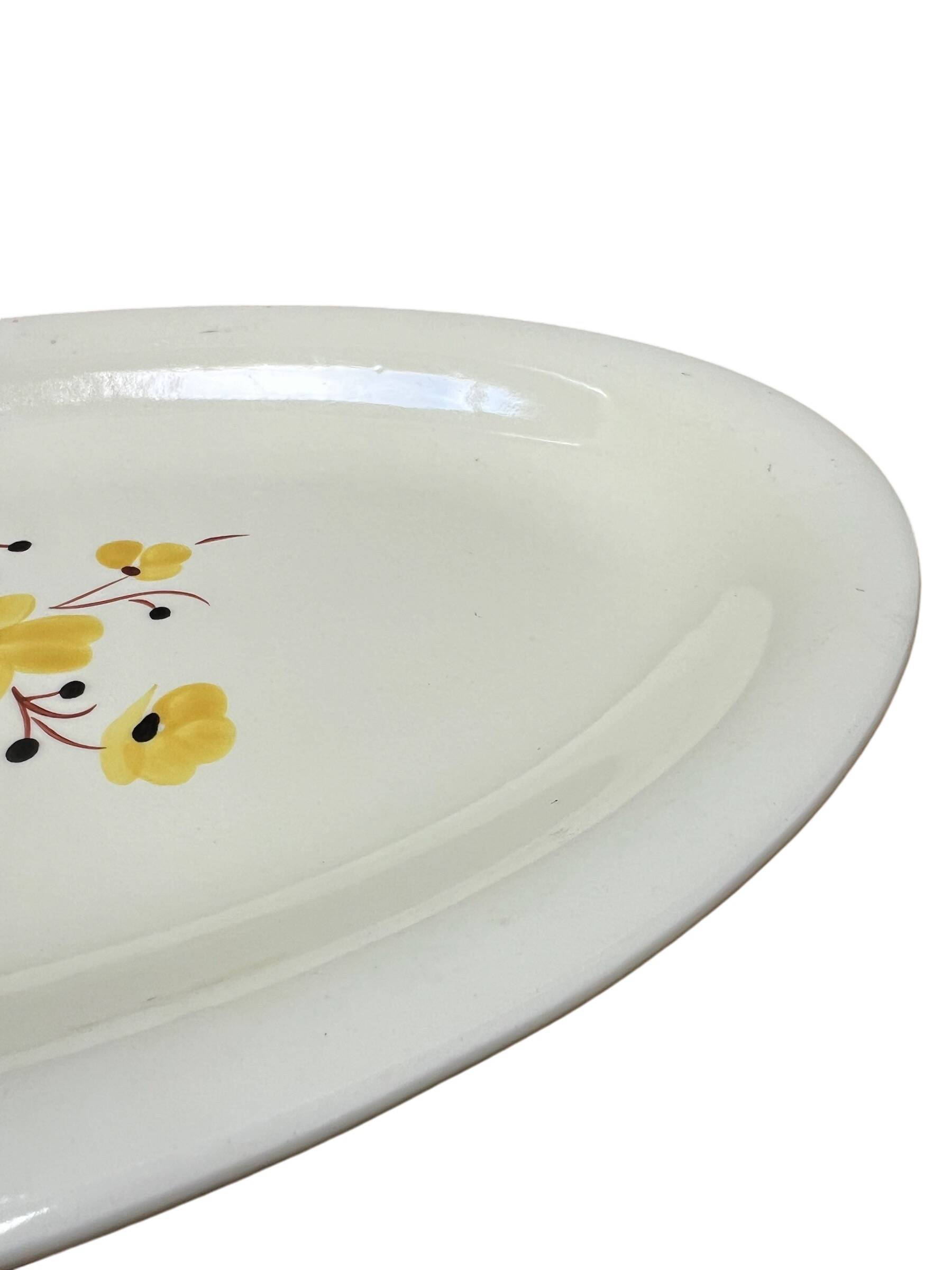 Salins earthenware dish