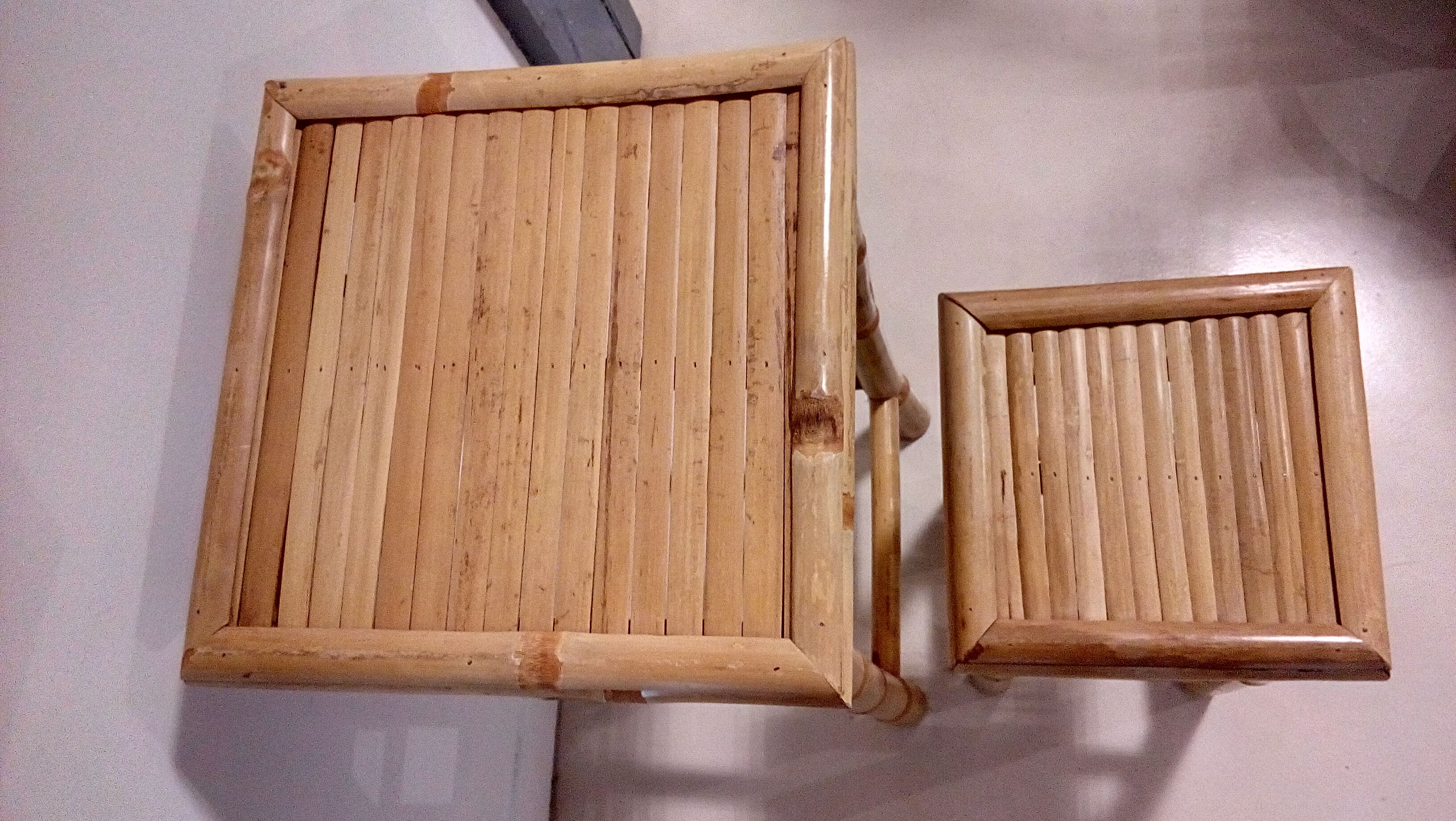 Bamboo selette plant-carrier duo