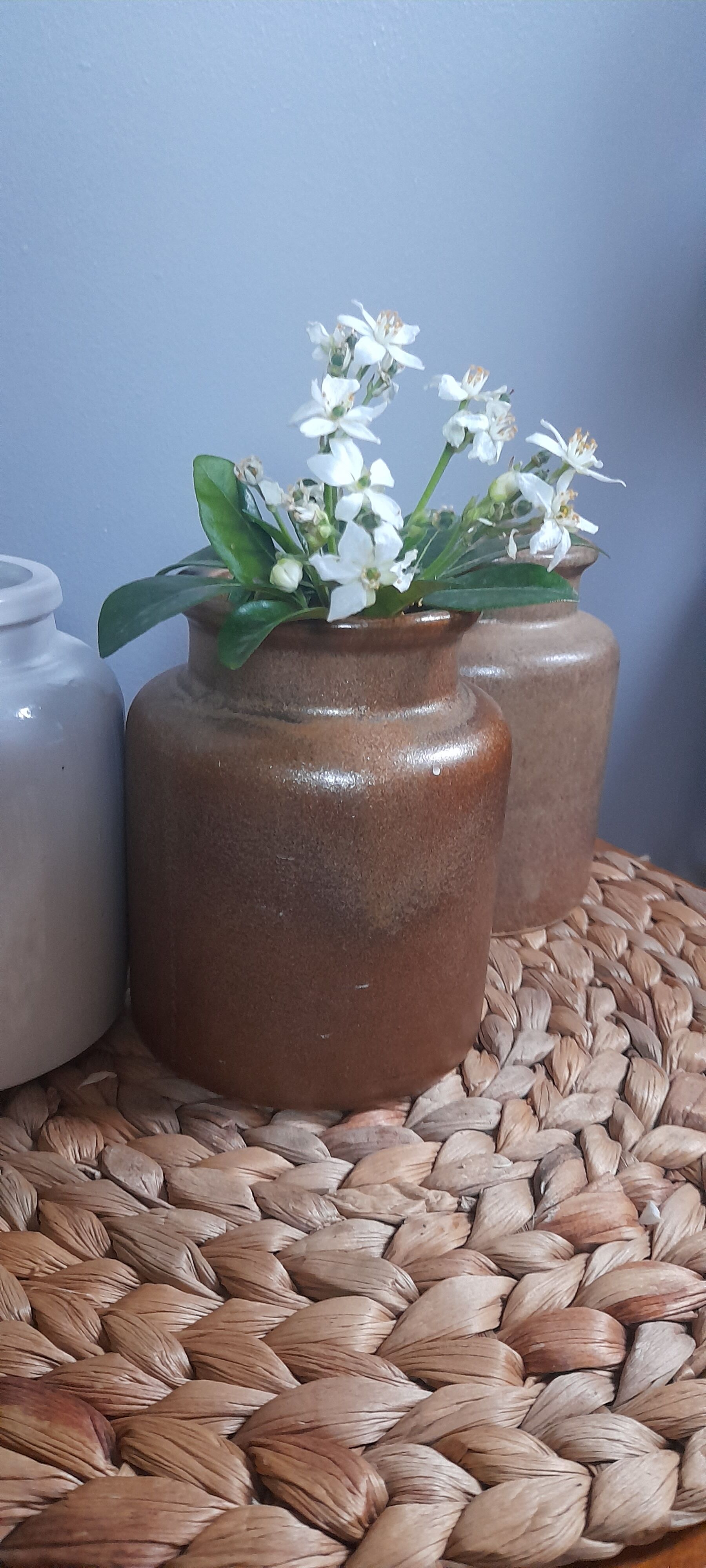 Ensemble de 3 anciens pots à moutarde/condiments, en céramique / grés
