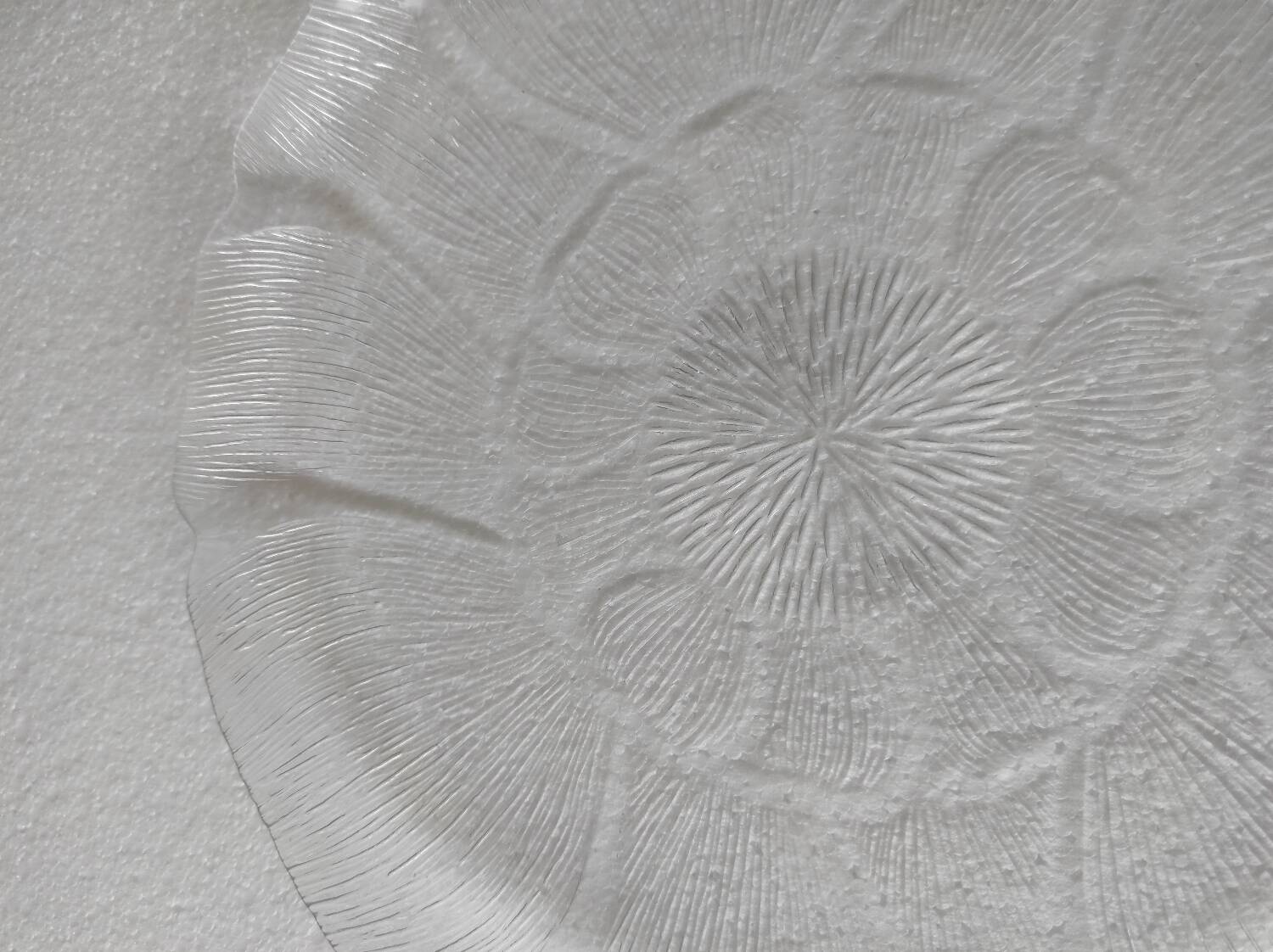 Set of 5 'Flowers' transparent plates by Arcoroc