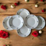 6 antique flat plates in Gien earthenware