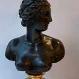 Pair of bronze busts Venus and Antinous