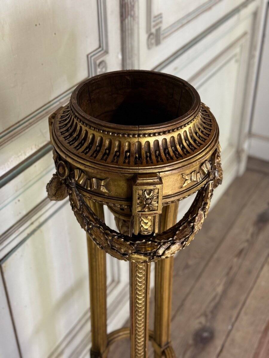 Louis XVI style planter in carved and gilded wood circa 1900