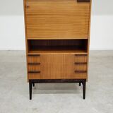 Office Secretary by Frantisek Mezulanik for Up Zavody 1960