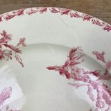Dish porcelain Gien model Cactus