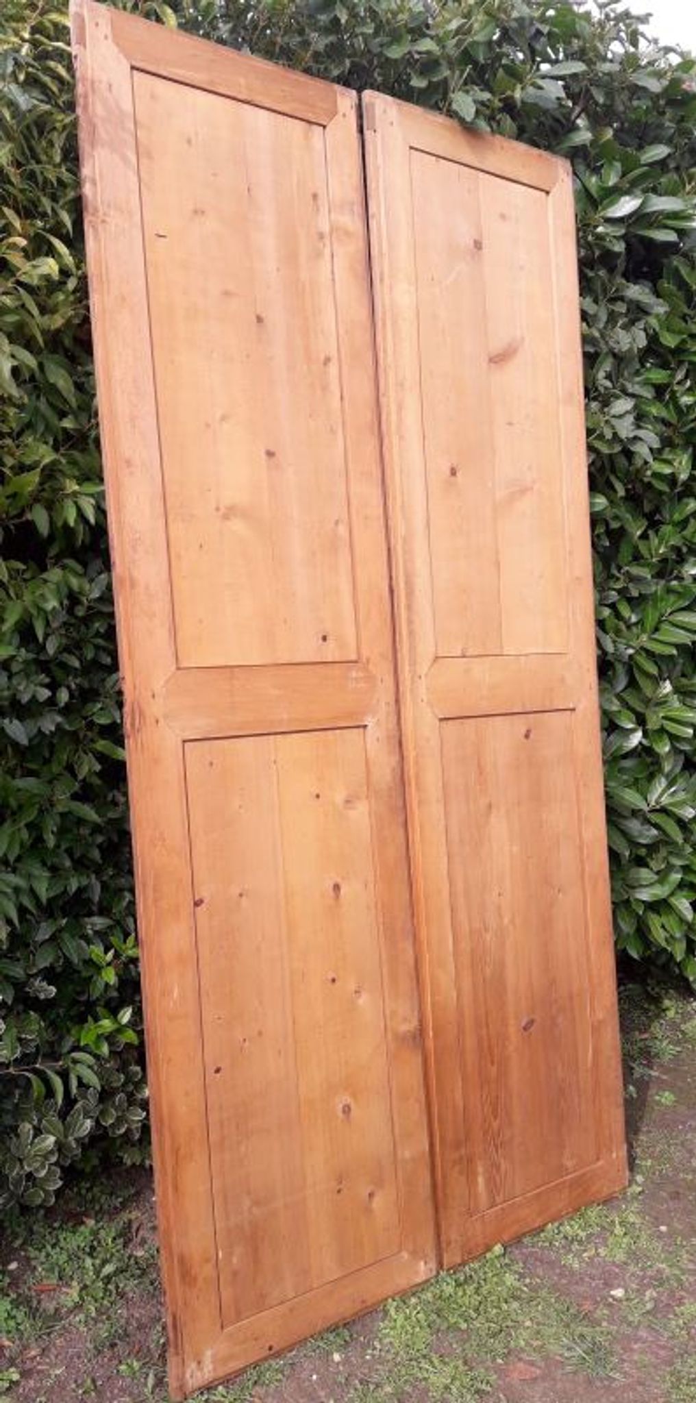 Paire de portes 248x129cm anciennes