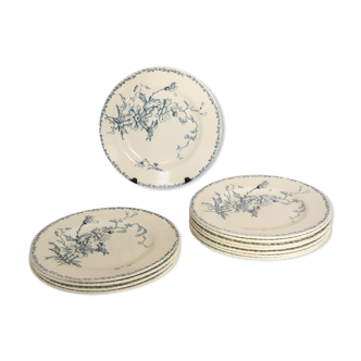 Plate Luneville Marguerite motif