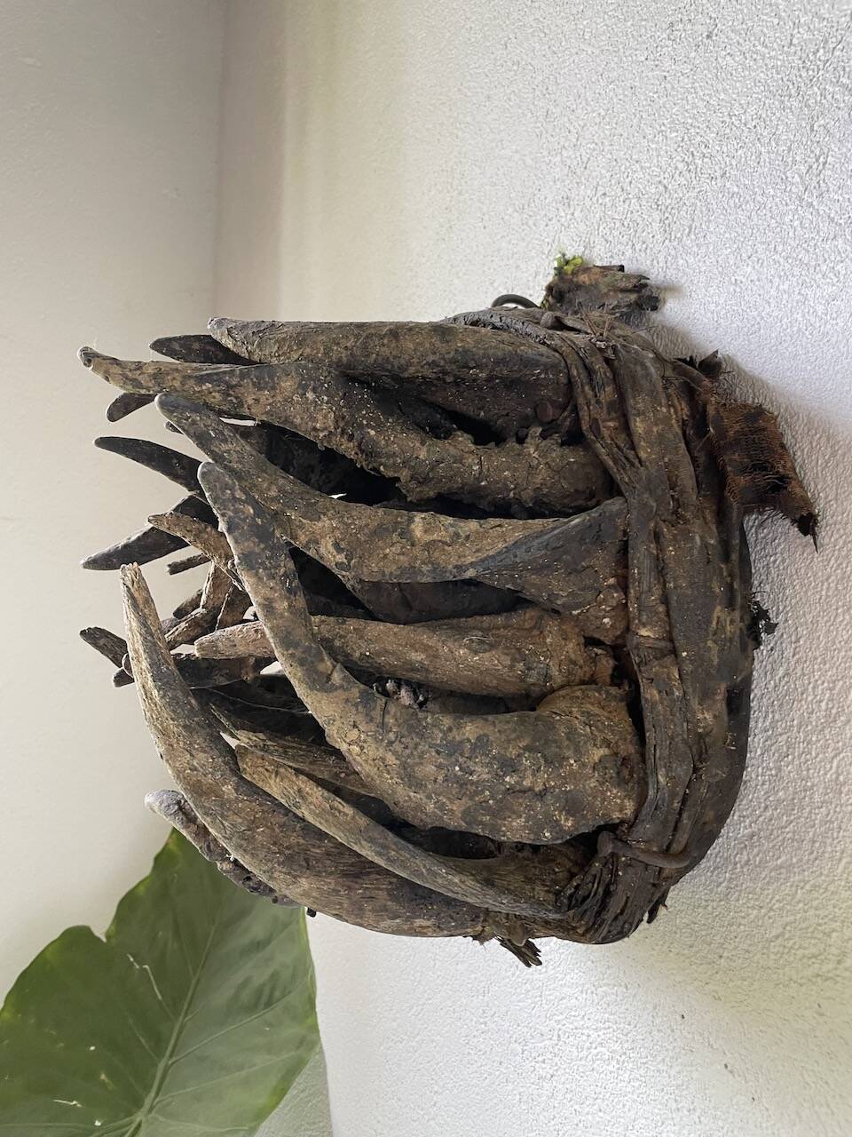 Bété Nyabwa mask Ivory Coast