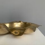 Empty clam pocket