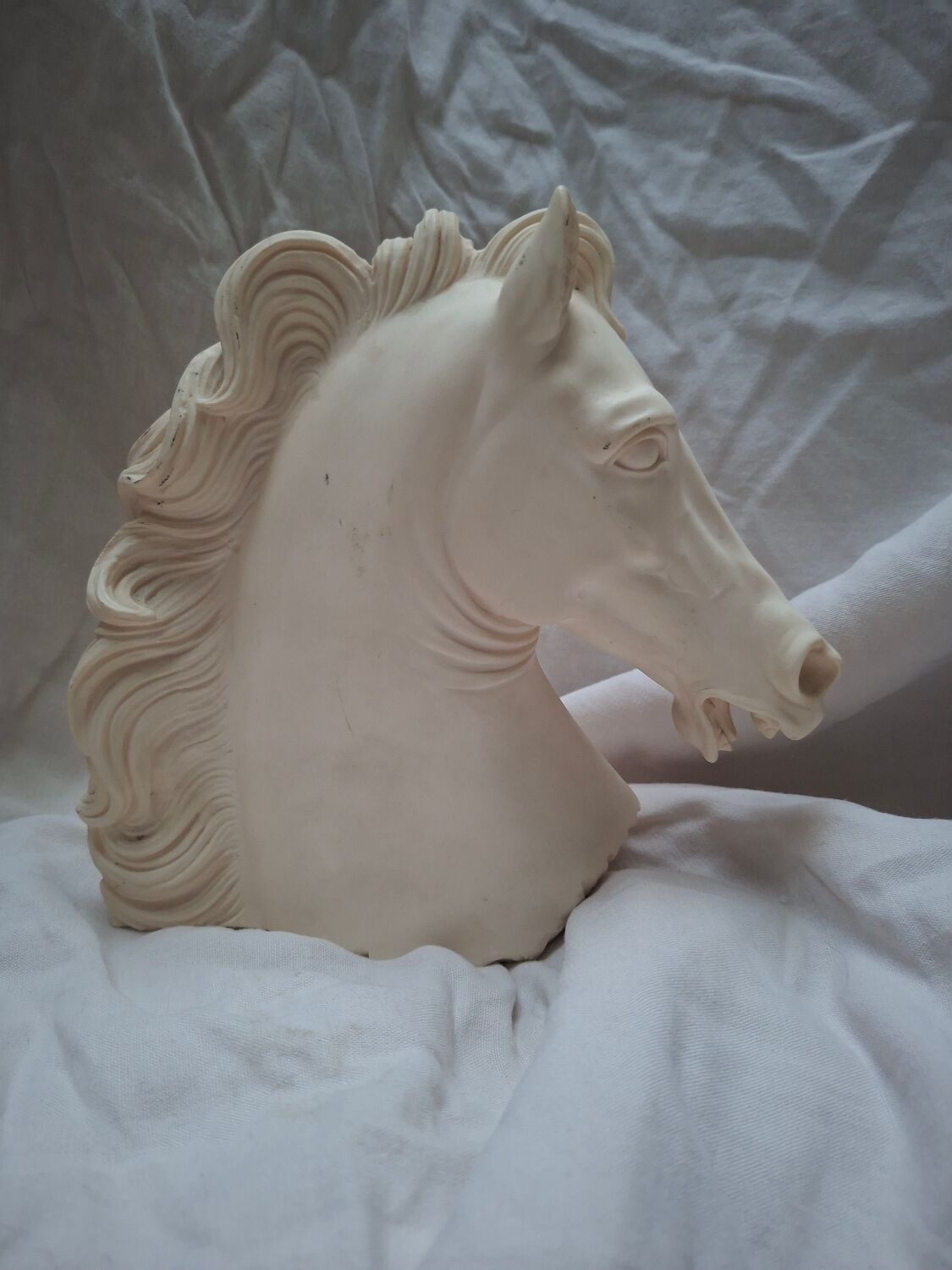 Horse head A. Giannelli