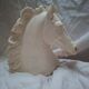 Horse head A. Giannelli