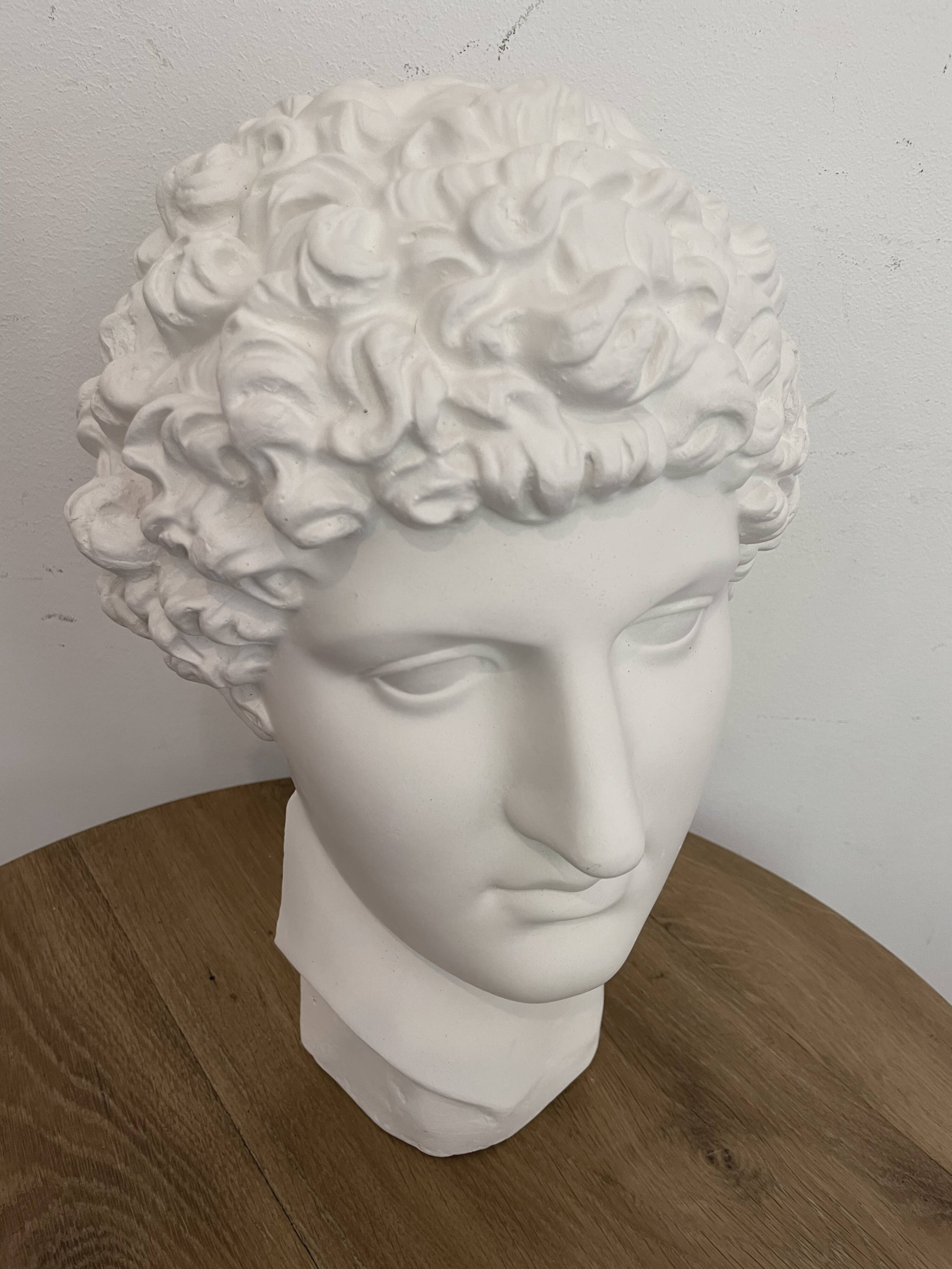 Greek head in polished white plaster