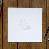 Pepper - original drawing