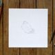 Pepper - original drawing