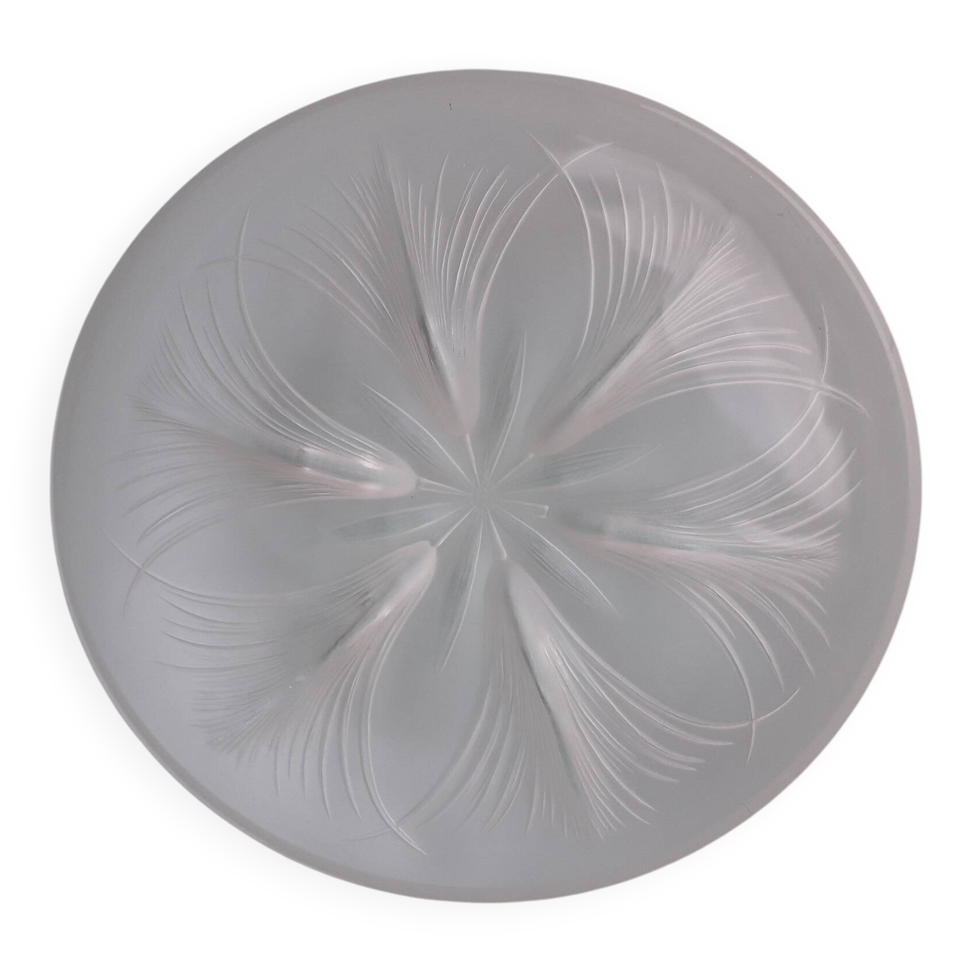 Verlys glass cup