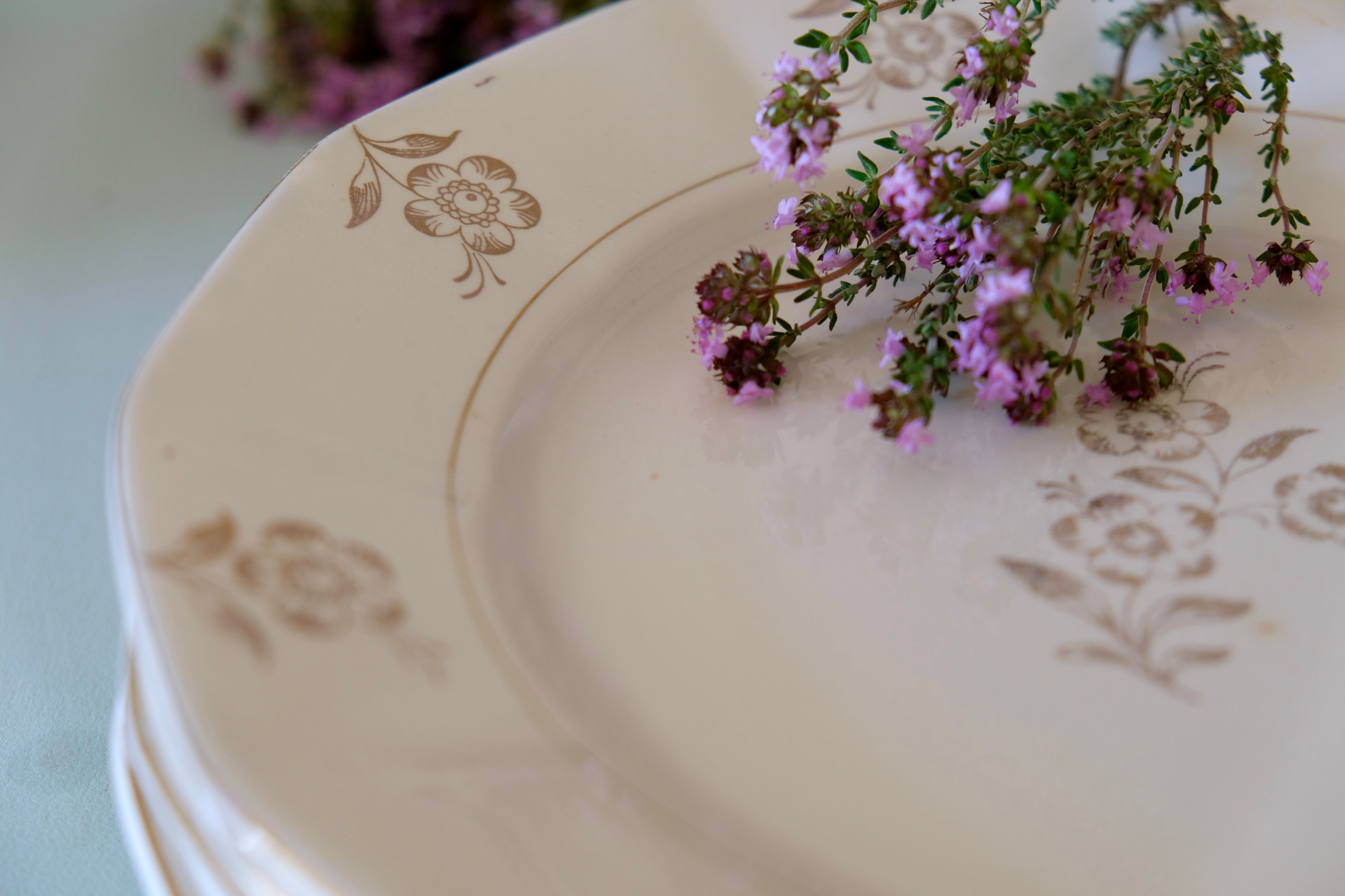 Set of opaque porcelain plates 'Raphael' from the French manufacturer Digoin-Sarreguemines