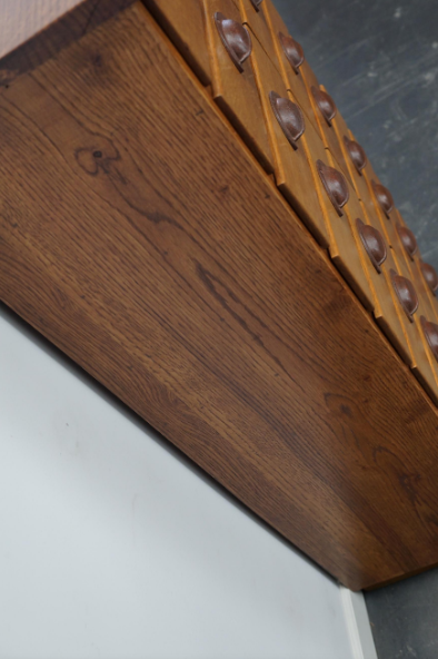 German apothecary's cabinet in oak mid-twentieth century