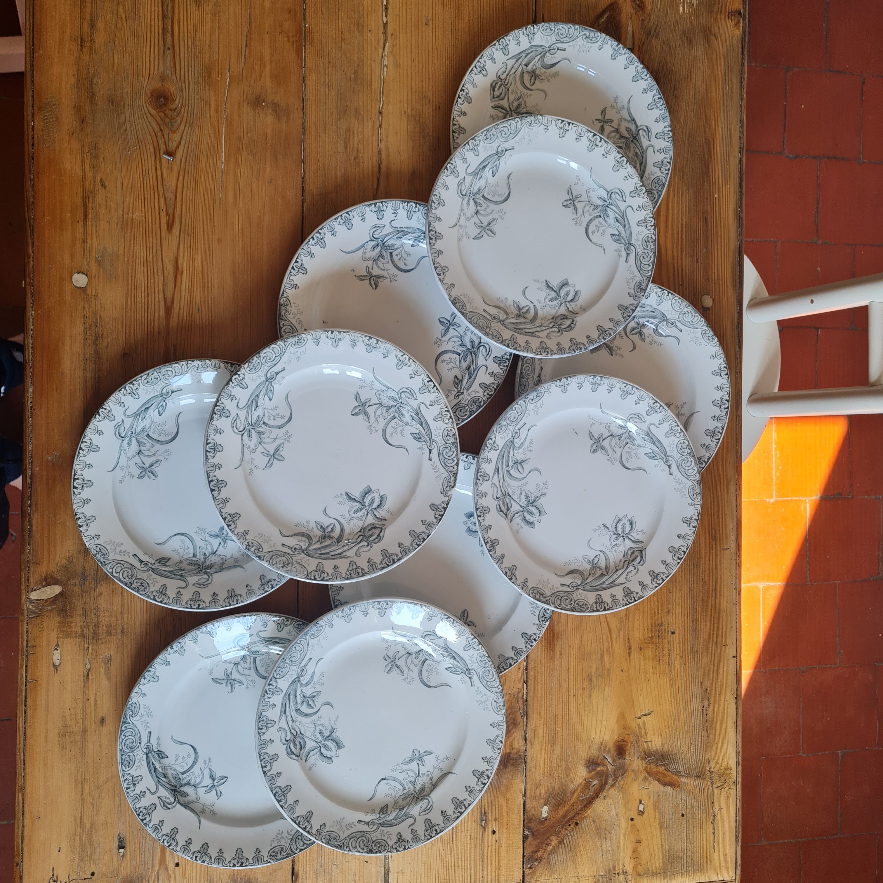 Set of 10 plates in iron earth
