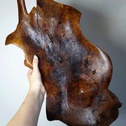 Large monoxyle bowl made of dark raw olive wood from the 1950s.