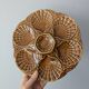 Set of 3 vintage brown Sarreguemines majolica oyster plates.