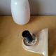 Wall light Erref in opaline.