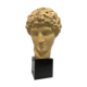 Tête de romain antique des années 70