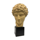 Ancient roman head of the 70s