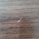 Table "contract base" design Charles et Ray Eames édition Vitra